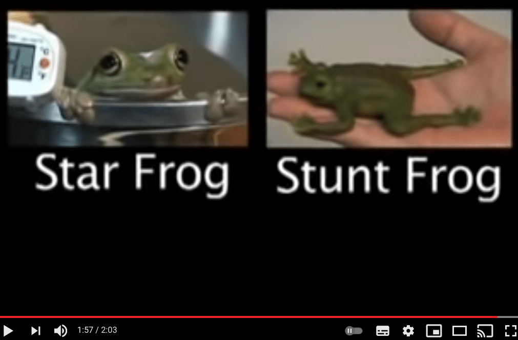 2021-01-2921:32.png