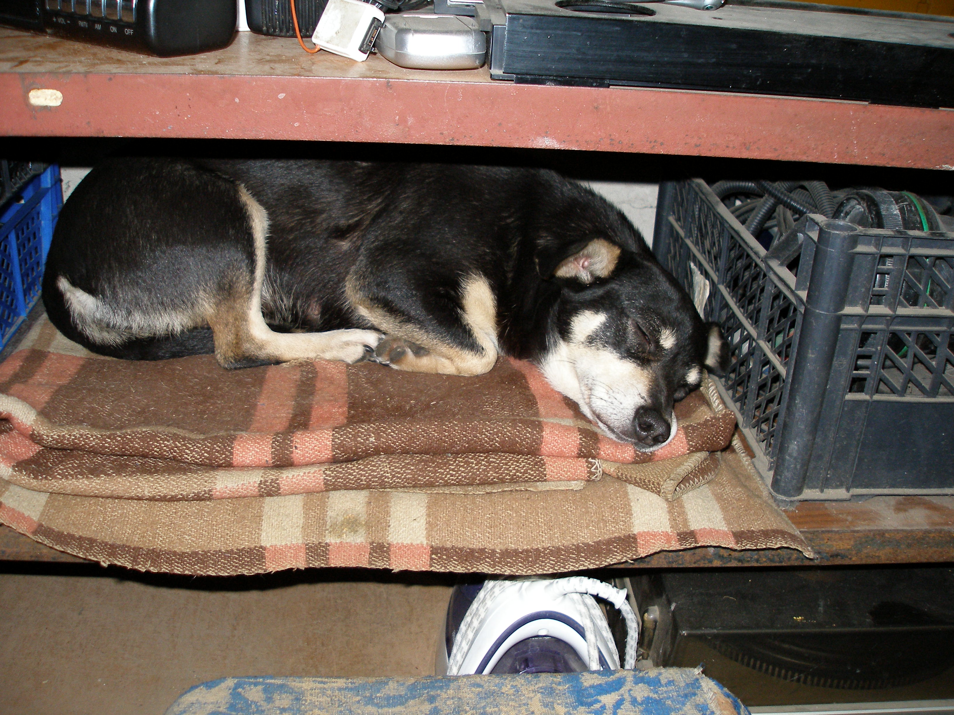 P1010016.JPG
