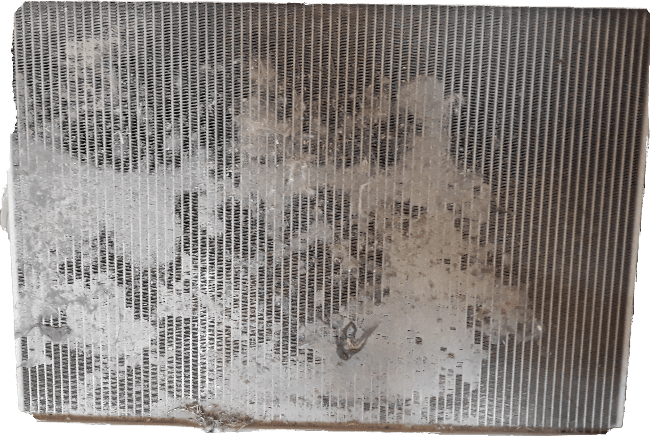 20190628_110929.png