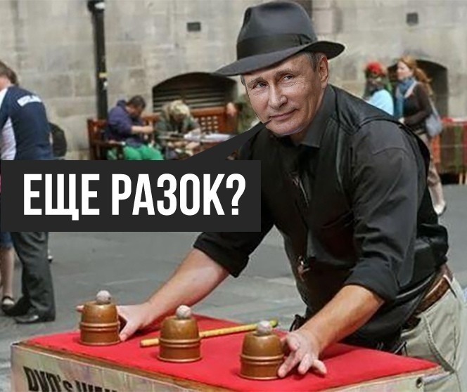 13673103.jpg