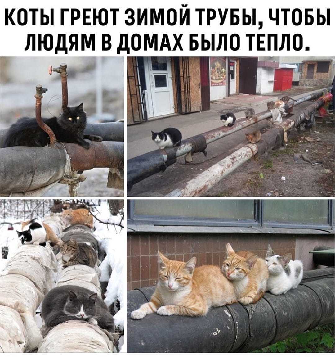 a8d9e53f13c507234996d7dcb1e1d8c0.jpeg