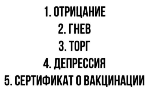 изображение_2021-06-24_090226.png