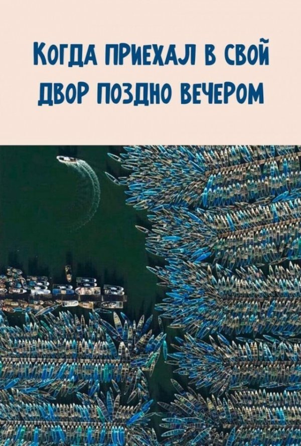 1625486104_2021-07-04-17-54-082.jpg
