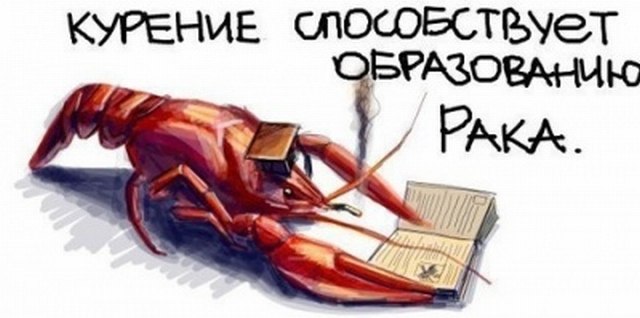 d0752b3734c7d19f6bd6acf17a68e828.jpg
