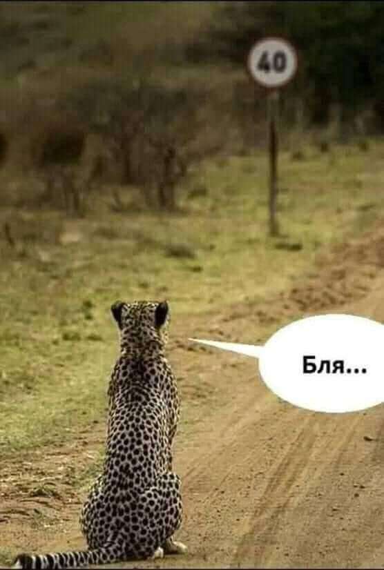 FB_IMG_1634371475355.jpg