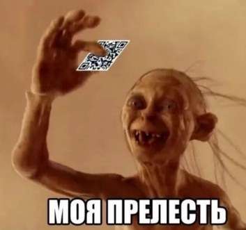16116350.jpg