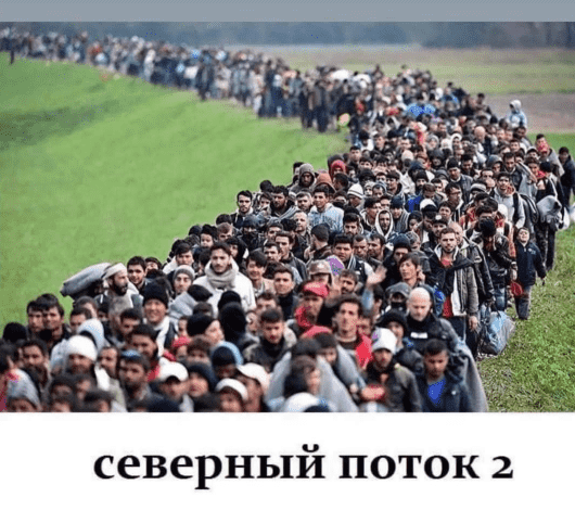 изображение_2021-11-16_165252.png