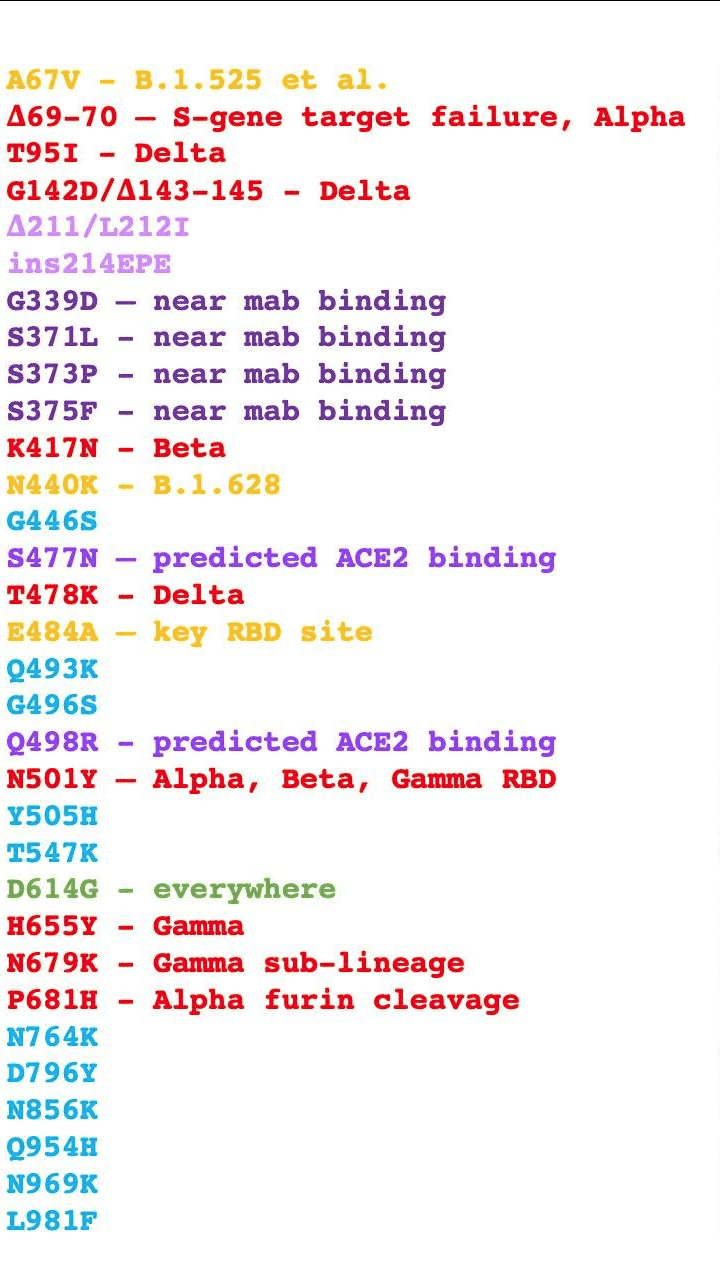 upload_2021-11-26_6-54-49.png