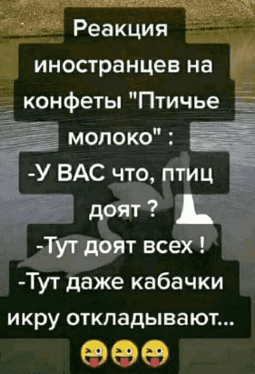 upload_2022-1-22_15-10-48.png