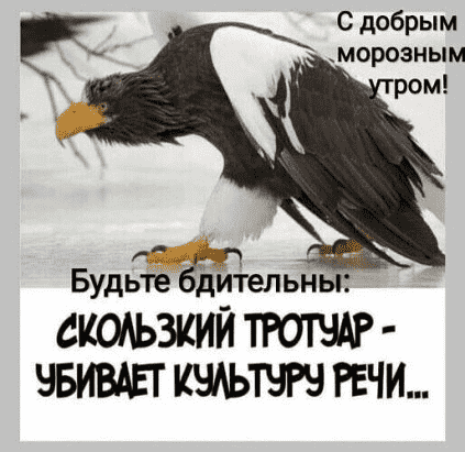 upload_2022-2-8_16-1-15.png