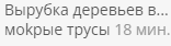 скрин.png
