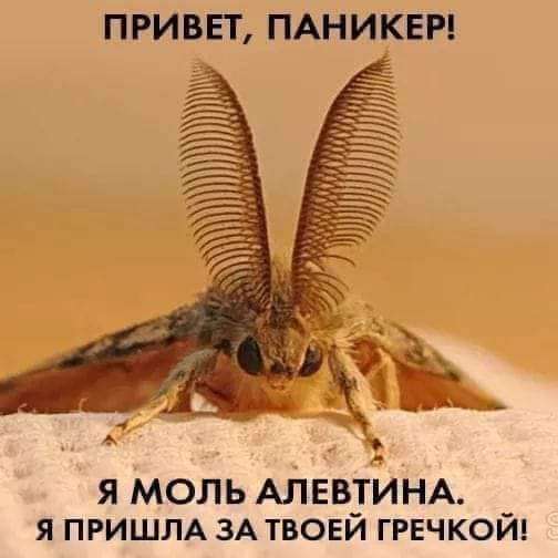 9520783211747fde9151b6fc9500a9d2.jpg