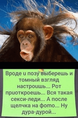 upload_2022-3-30_10-8-24.png