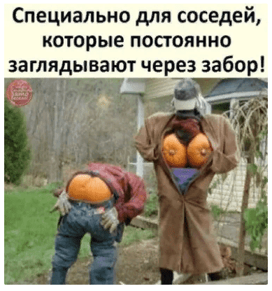 upload_2022-4-10_21-55-49.png