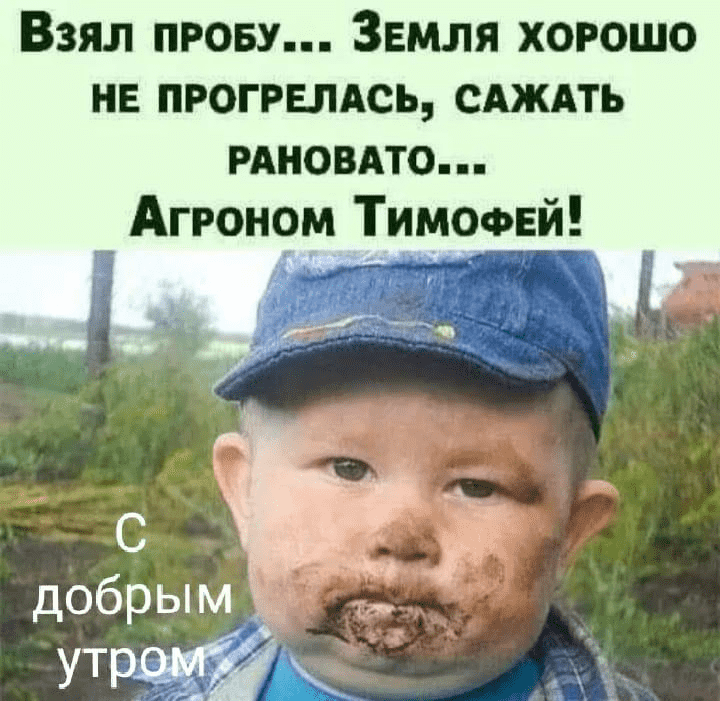 upload_2022-4-17_9-22-27.png