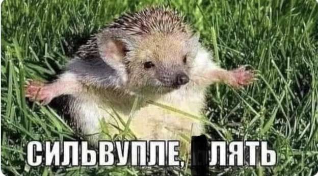7A67CE6C-293E-47BA-9E3E-065E814D240E.jpeg