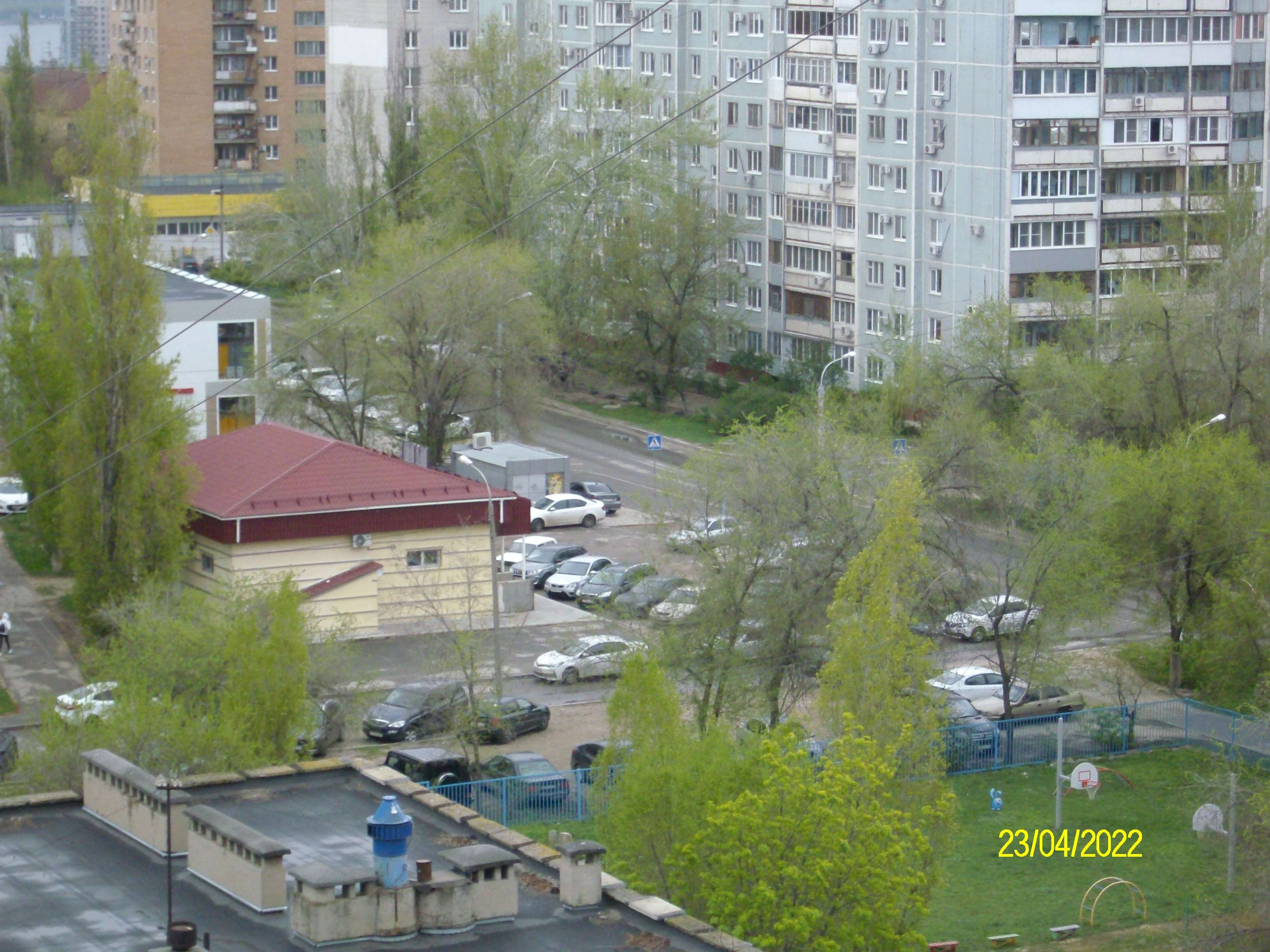 IMGP8539.JPG