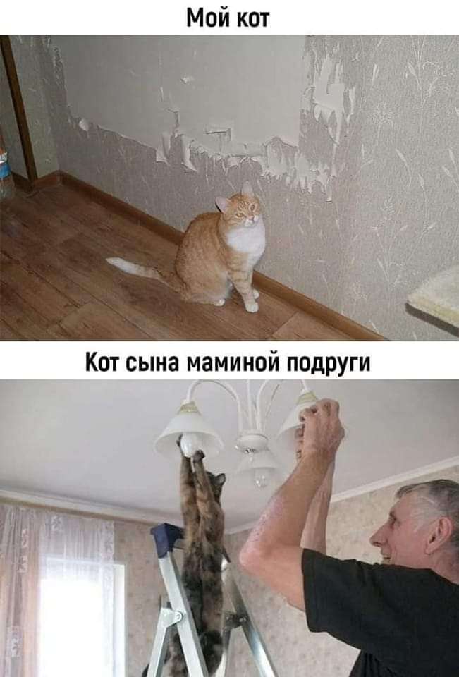 FB_IMG_1669744144691.jpg