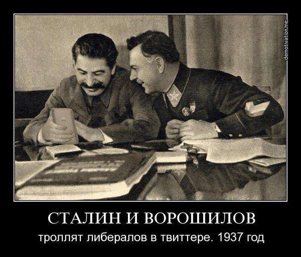 D-cM_EBoCyg.jpg