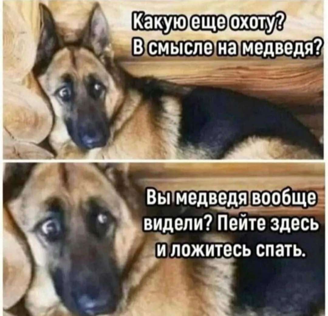 FB_IMG_1670092116331.jpg