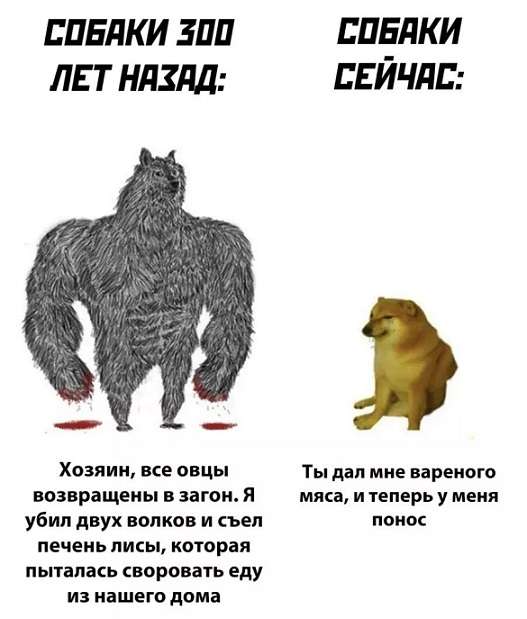 original.jpg