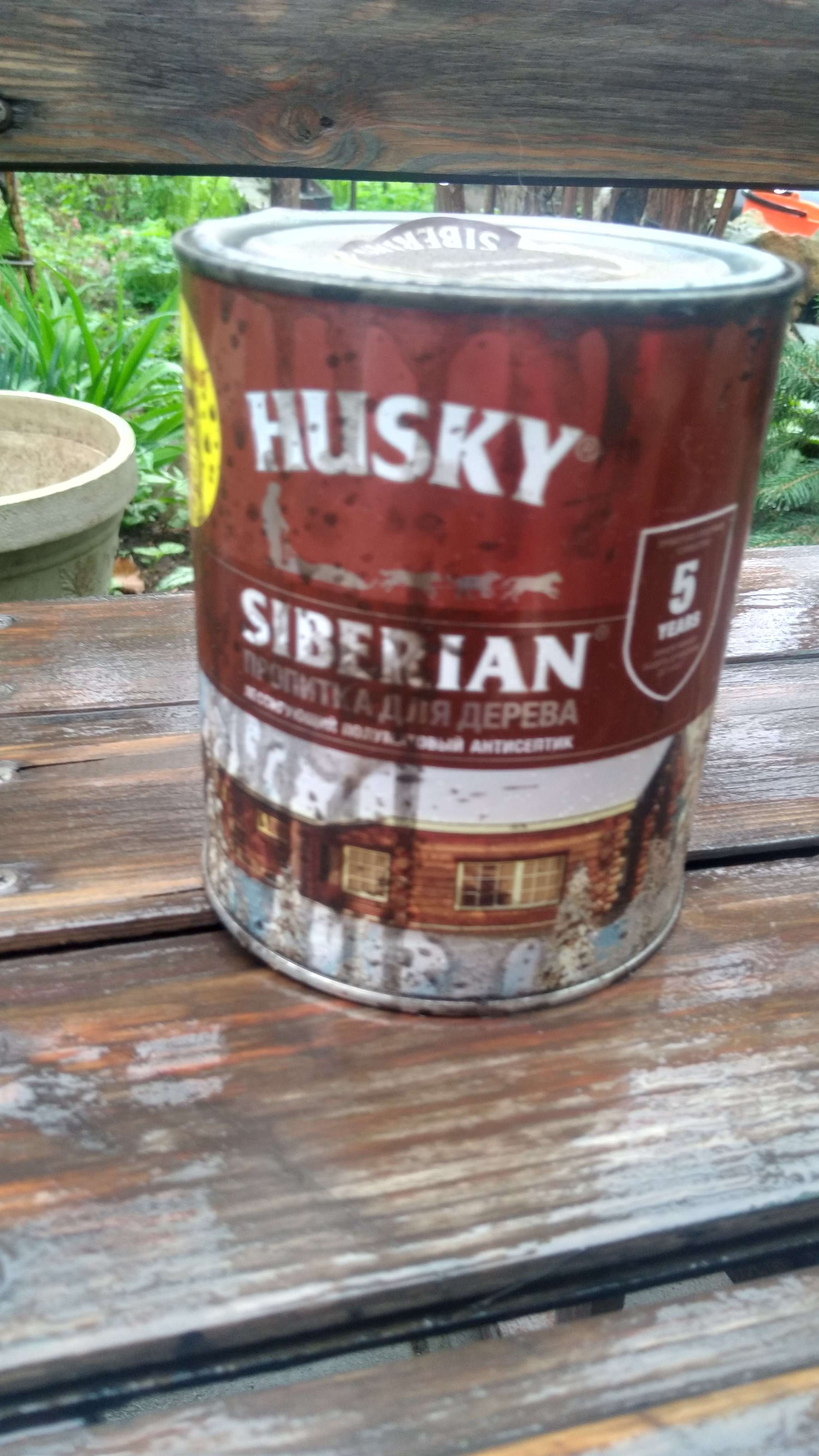 20230414_115503.jpg