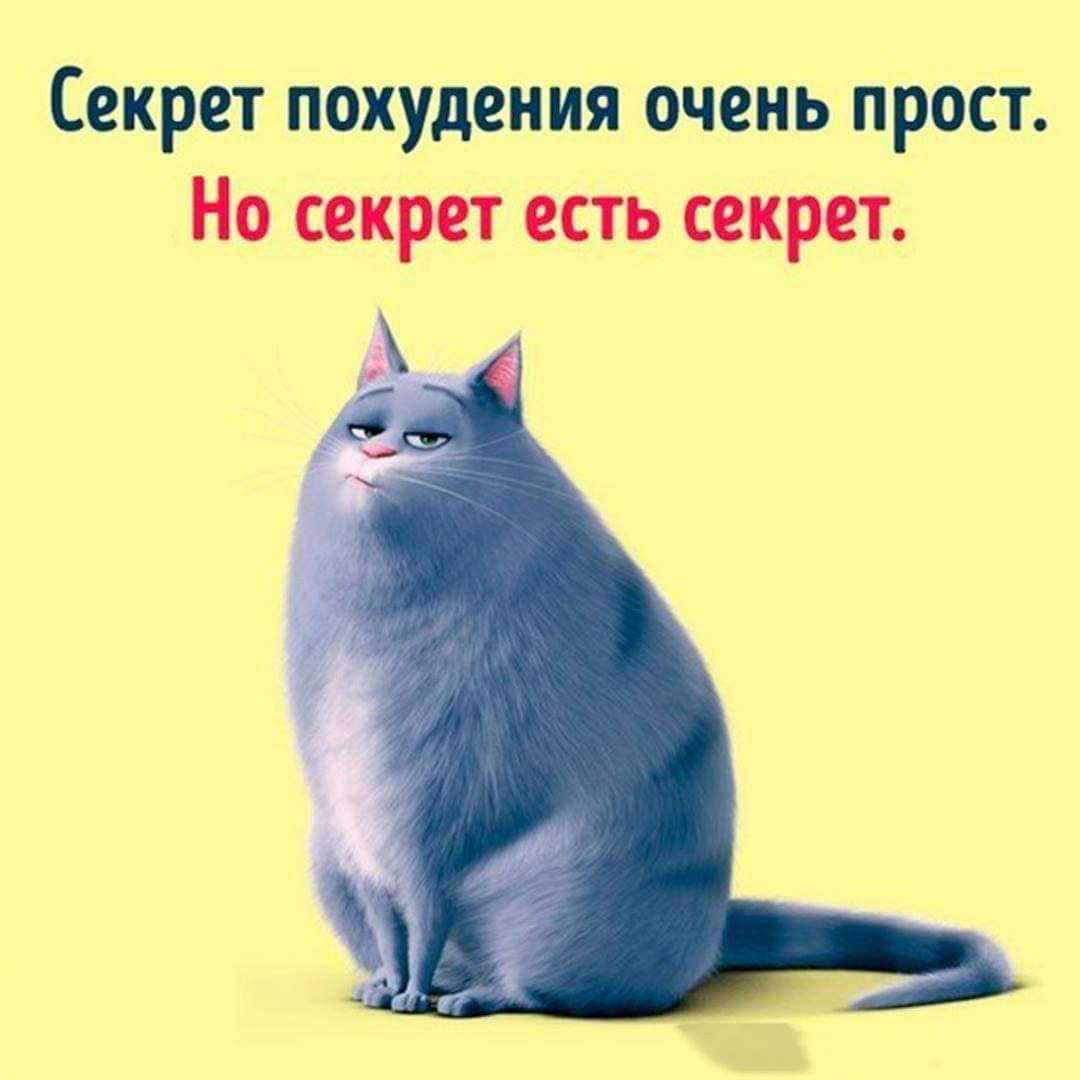 FB_IMG_1683654628059.jpg