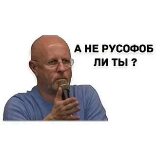 i (1).jpeg