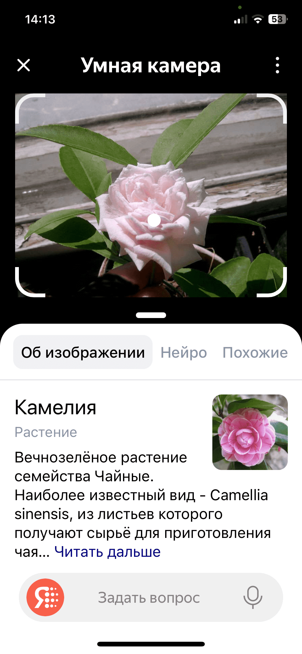IMG_7419.png
