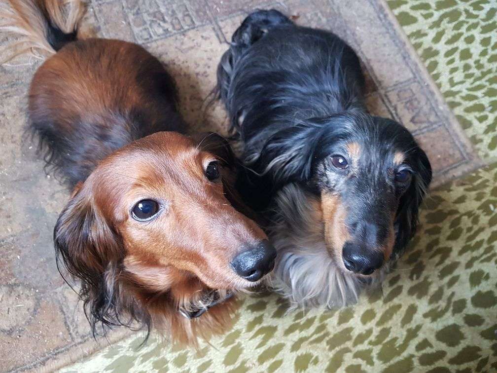 20241122_130454 (1).jpg