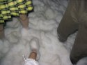 102_0237a.jpg