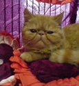 DSC00398.JPG