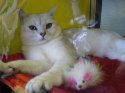 DSC00424.JPG