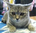 DSC00484.JPG