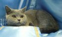 DSC00464.JPG