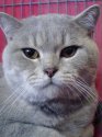 DSC00471.JPG