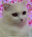 DSC00494.JPG