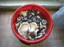 IMG_20120902_165647.jpg