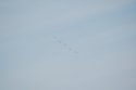 DSC_7733.jpg