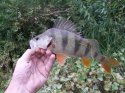 DSCF2718.JPG