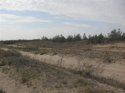 SDC13948.JPG