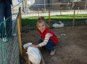 DSC09280.jpg