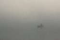 IMG1111111.jpg