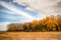 IMG_3499-Edit.jpg