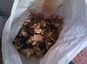 IMG_20121103_140047.jpg
