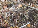 DSCF3518.jpg