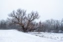 IMG_6453-Edit-Edit.jpg