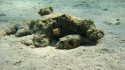 IMG_0171.jpg