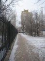 IMG_3389.jpg