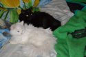 DSC_013.JPG